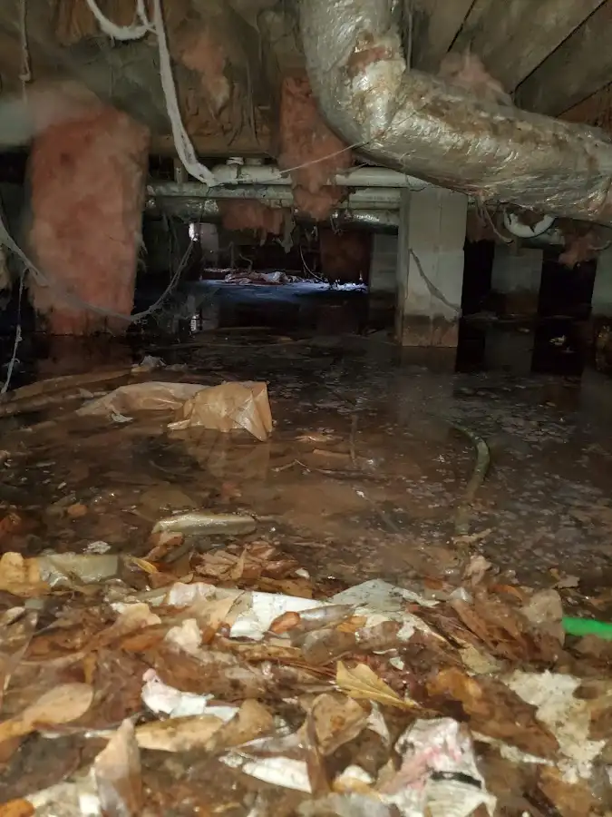 Crawl space flood assessment for Leak Detection & Repair in Bondurant